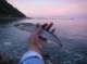 imgp0598_small.jpg