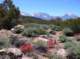 imgp4367_small.jpg