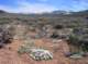 imgp4375_small.jpg