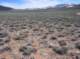 imgp4376_small.jpg