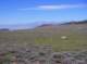 imgp4379_small.jpg
