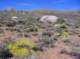 imgp4389_small.jpg