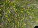 imgp4396_small.jpg
