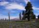 imgp4399_small.jpg