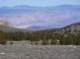 imgp4419_small.jpg