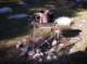 imgp4425_small.jpg