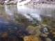 imgp4439_small.jpg