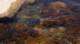 imgp4440_small.jpg