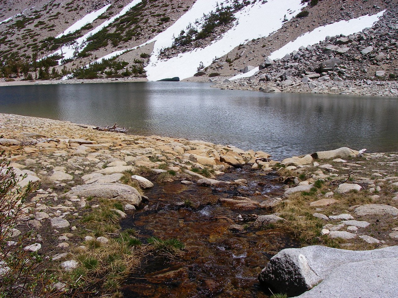 imgp4442.jpg