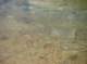 imgp4444_small.jpg
