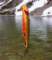 imgp4452_small.jpg