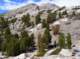 imgp4475_small.jpg