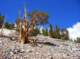 imgp4476_small.jpg