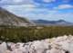 imgp4483_small.jpg