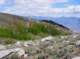 imgp4492_small.jpg