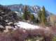imgp5446_small.jpg