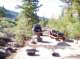 imgp5460_small.jpg