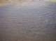 imgp5517_small.jpg
