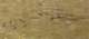 imgp5518_small.jpg