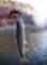 imgp5533_small.jpg