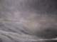 imgp5536_small.jpg