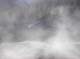 imgp5541_small.jpg