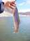 Wild rainbow trout caught on a Thomas Buoyant lure at South Lake 6/16/2011 