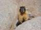 imgp5559_small.jpg