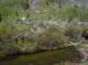 imgp5595_small.jpg