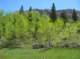 imgp5597_small.jpg