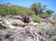 imgp5602_small.jpg