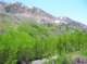 imgp5605_small.jpg