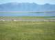 imgp5690_small.jpg