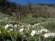 imgp5694_small.jpg