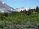 imgp5712_small.jpg