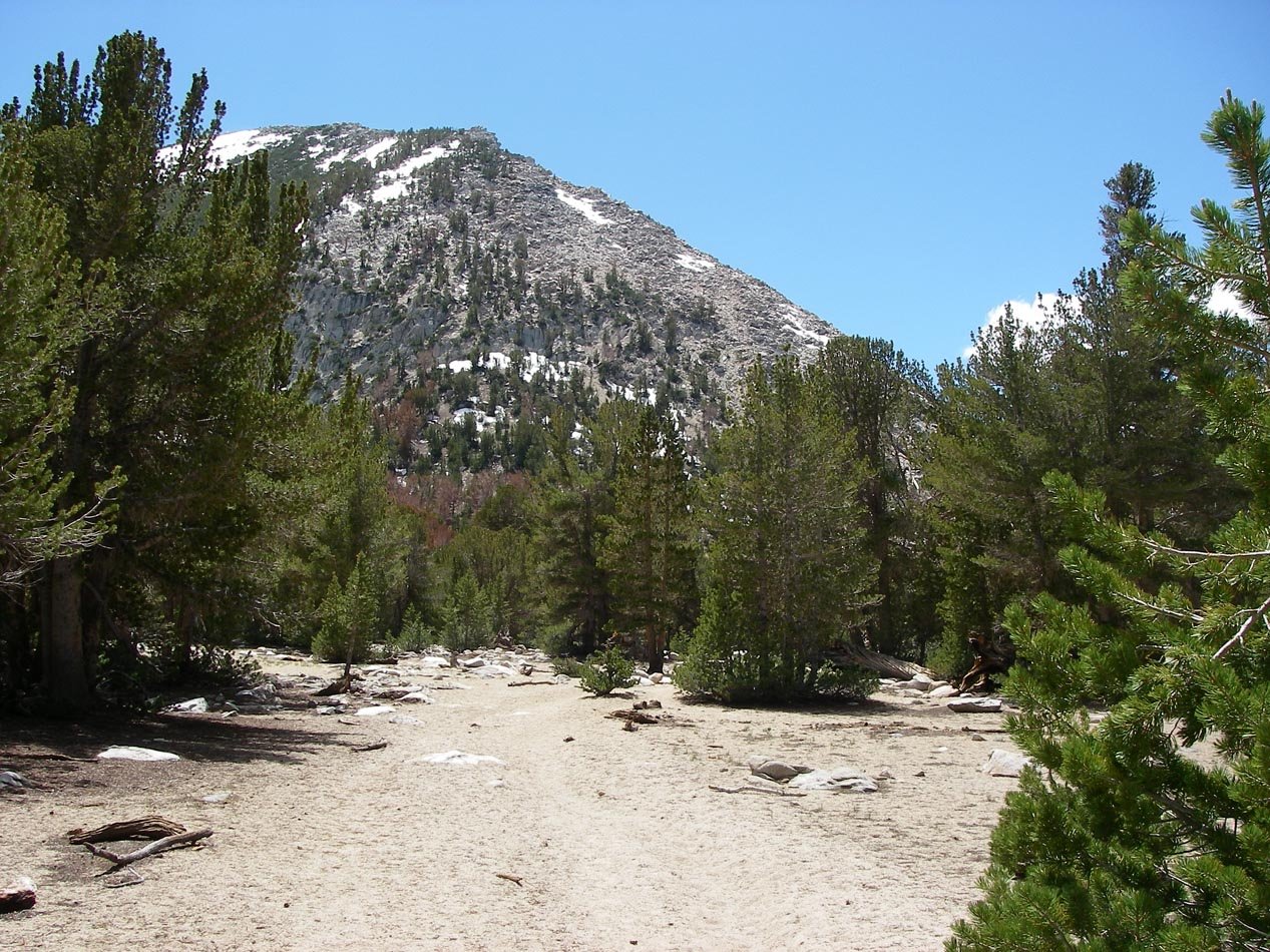 imgp5728.jpg