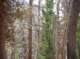 imgp5733_small.jpg