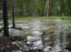 imgp5743_small.jpg
