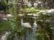 imgp5755_small.jpg