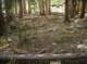 imgp5756_small.jpg