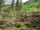 imgp5757_small.jpg