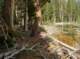 imgp5758_small.jpg