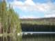 imgp5760_small.jpg