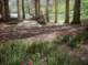 imgp5761_small.jpg
