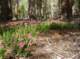 imgp5762_small.jpg