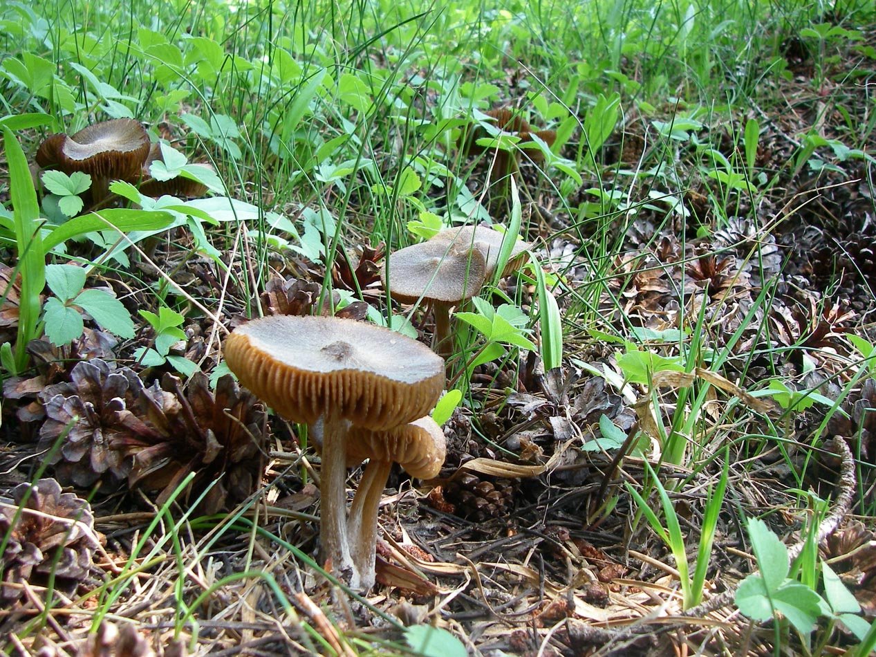 imgp5795.jpg