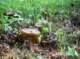 imgp5795_small.jpg