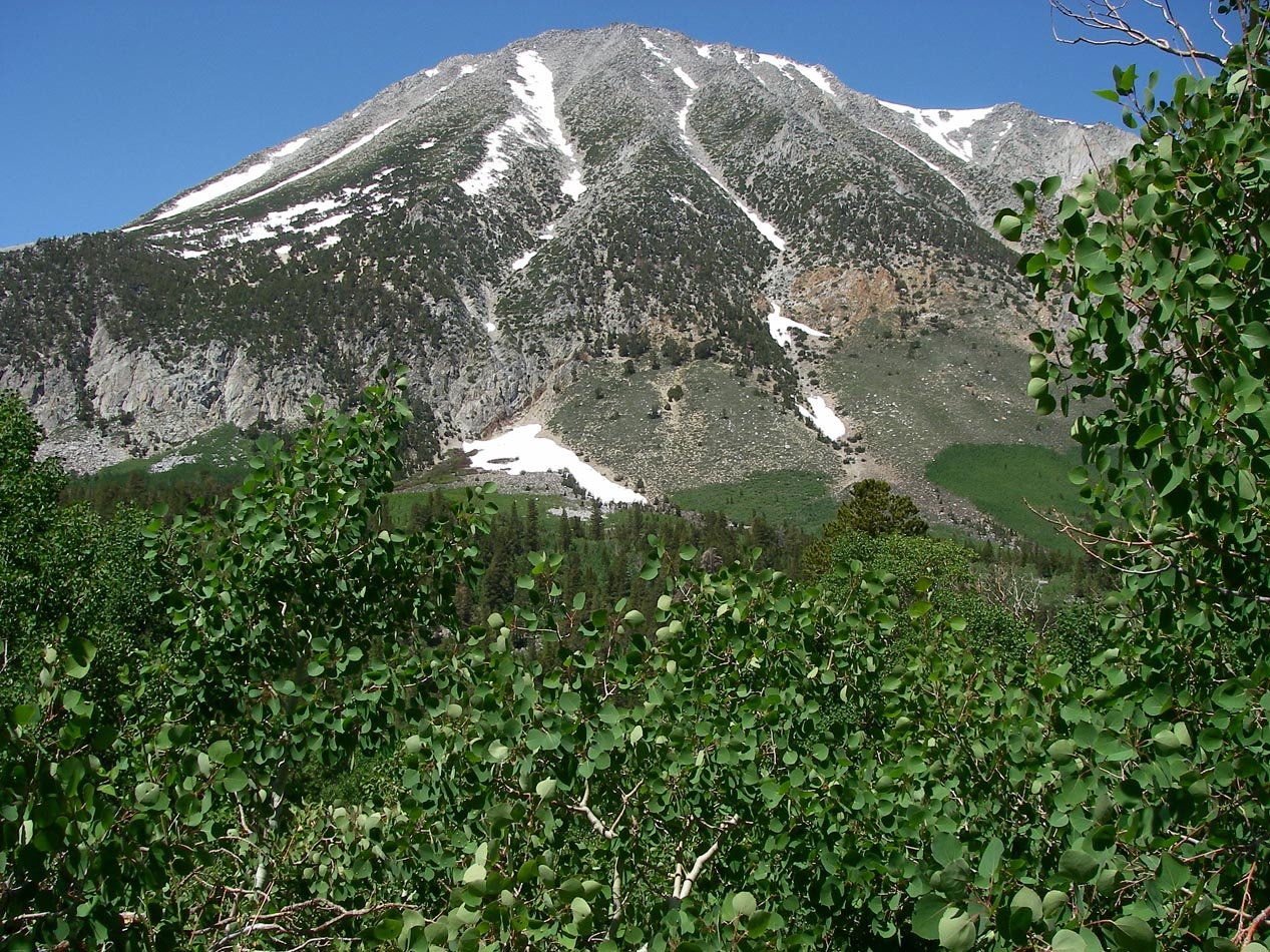 imgp5816.jpg