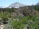 imgp5820_small.jpg