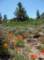 imgp5821_small.jpg